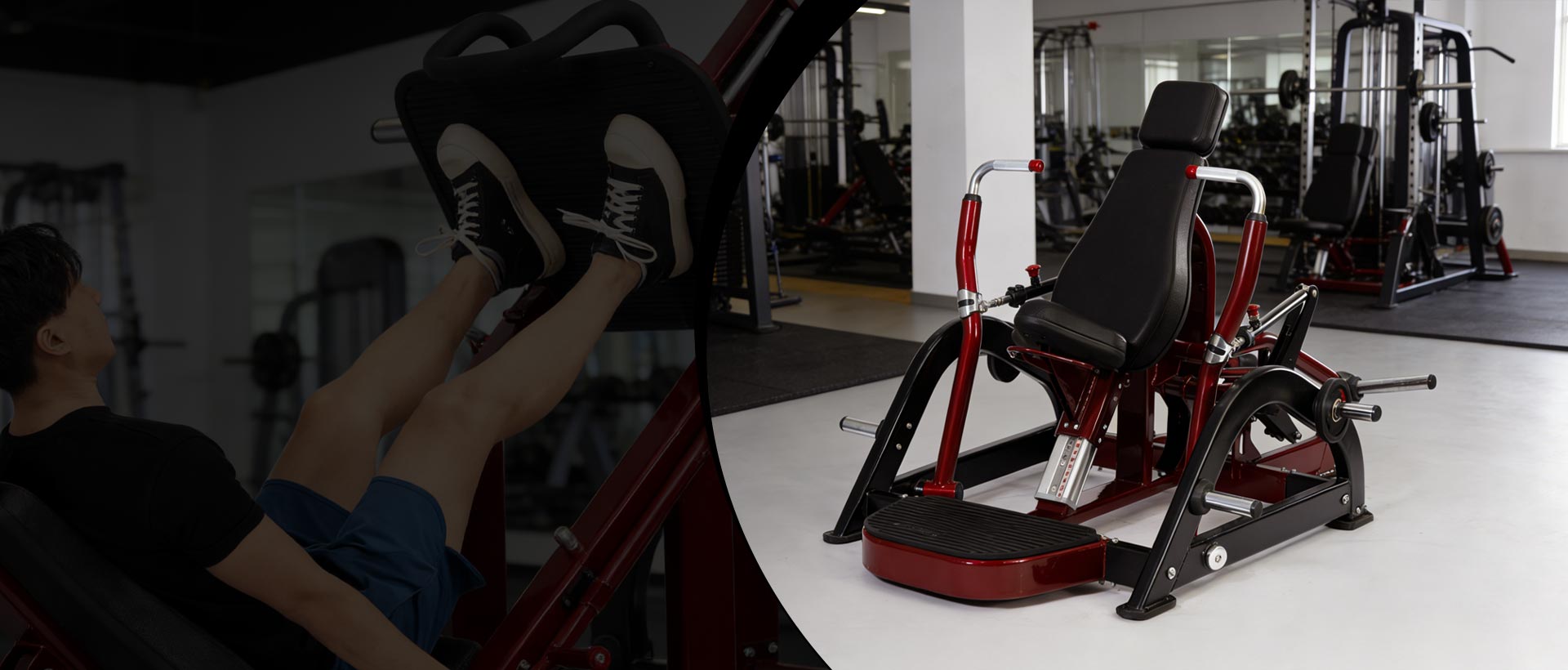 Fabricant chinois de machines de musculation