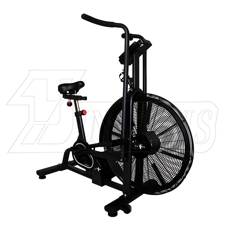 Commercial Air Bike