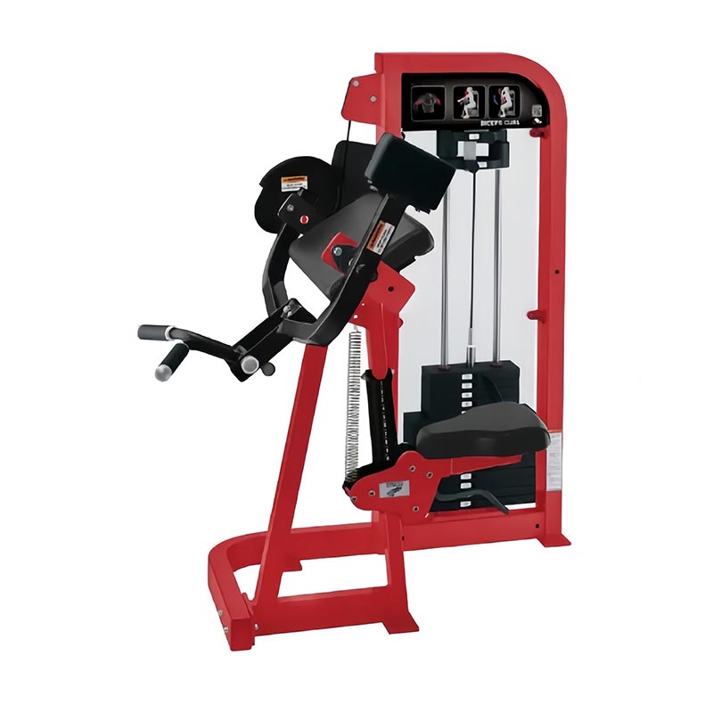 Sélectionnez la machine à boucler les biceps